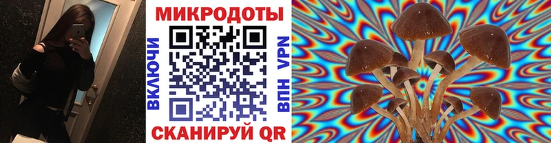 Псилоцибиновые грибы Cubensis Мытищи